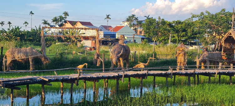Me man vuon thu co 1-0-2 giua “canh dong bat tan” o Hoi An-Hinh-6