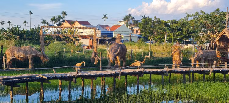 Me man vuon thu co 1-0-2 giua “canh dong bat tan” o Hoi An-Hinh-6