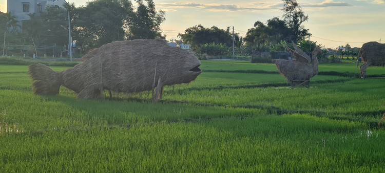 Me man vuon thu co 1-0-2 giua “canh dong bat tan” o Hoi An-Hinh-4