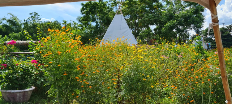 Nhung diem check-in doc la chi co o Hoi An-Hinh-6