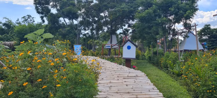 Nhung diem check-in doc la chi co o Hoi An-Hinh-5