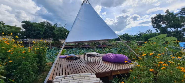 Nhung diem check-in doc la chi co o Hoi An-Hinh-8