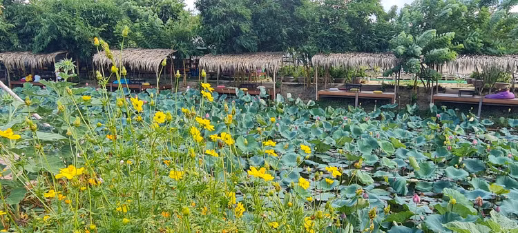 Nhung diem check-in doc la chi co o Hoi An-Hinh-11