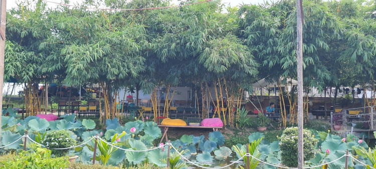 Nhung diem check-in doc la chi co o Hoi An-Hinh-12