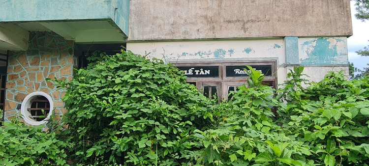 Bi an khach san bo hoang tren deo Hai Van-Hinh-4