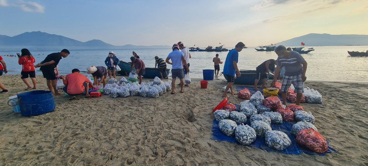 Ngu dan Da Nang kiem tien trieu nho trung dam ca com, ca trich-Hinh-6