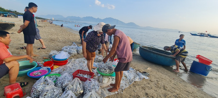 Ngu dan Da Nang kiem tien trieu nho trung dam ca com, ca trich-Hinh-3