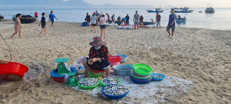 Ngu dan Da Nang kiem tien trieu nho trung dam ca com, ca trich-Hinh-8
