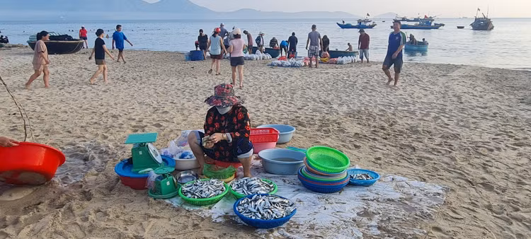 Ngu dan Da Nang kiem tien trieu nho trung dam ca com, ca trich-Hinh-8
