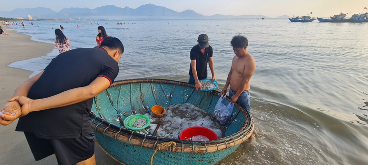 Ngu dan Da Nang kiem tien trieu nho trung dam ca com, ca trich-Hinh-4