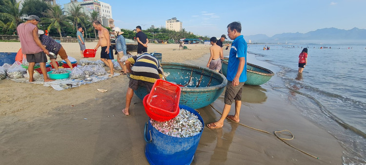 Ngu dan Da Nang kiem tien trieu nho trung dam ca com, ca trich-Hinh-2