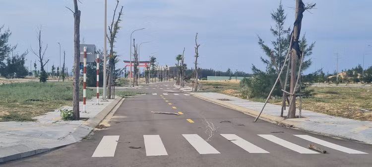 Can canh Nhon Hoi New City:Thanh pho moi khong mot bong nguoi-Hinh-7