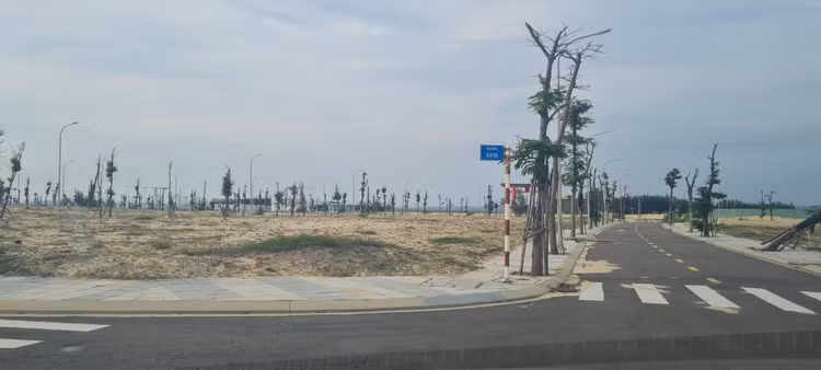 Can canh Nhon Hoi New City:Thanh pho moi khong mot bong nguoi-Hinh-6