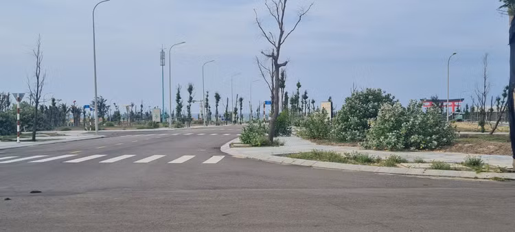 Can canh Nhon Hoi New City:Thanh pho moi khong mot bong nguoi-Hinh-3