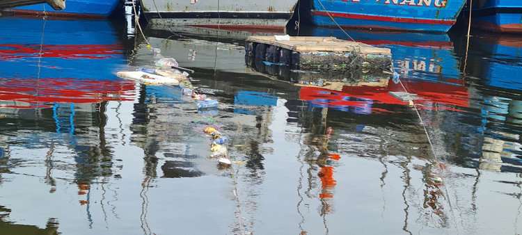 Da Nang: Muot mo hoi don rac quanh Au thuyen Tho Quang-Hinh-3