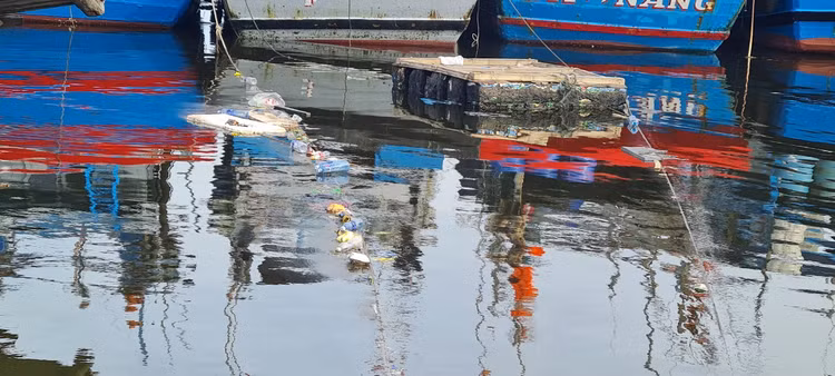 Da Nang: Muot mo hoi don rac quanh Au thuyen Tho Quang-Hinh-3