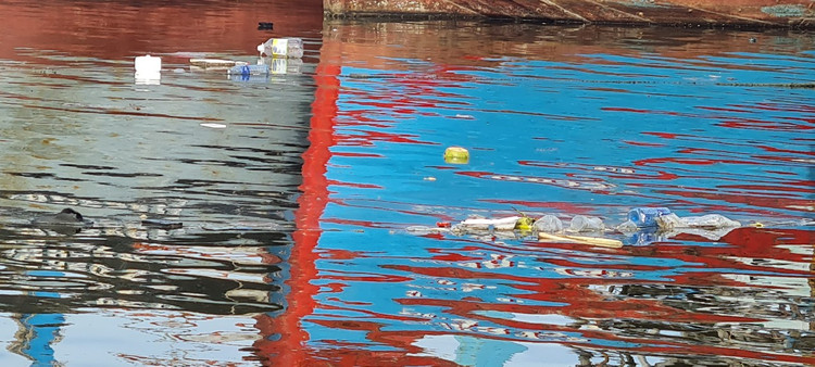 Da Nang: Muot mo hoi don rac quanh Au thuyen Tho Quang-Hinh-6