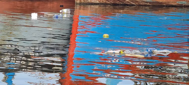 Da Nang: Muot mo hoi don rac quanh Au thuyen Tho Quang-Hinh-6