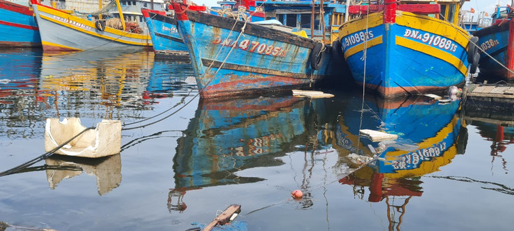 Da Nang: Muot mo hoi don rac quanh Au thuyen Tho Quang-Hinh-7
