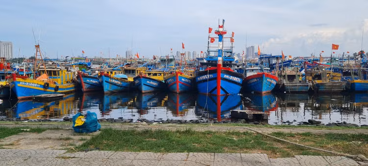 Da Nang: Muot mo hoi don rac quanh Au thuyen Tho Quang