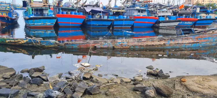 Da Nang: Muot mo hoi don rac quanh Au thuyen Tho Quang-Hinh-8