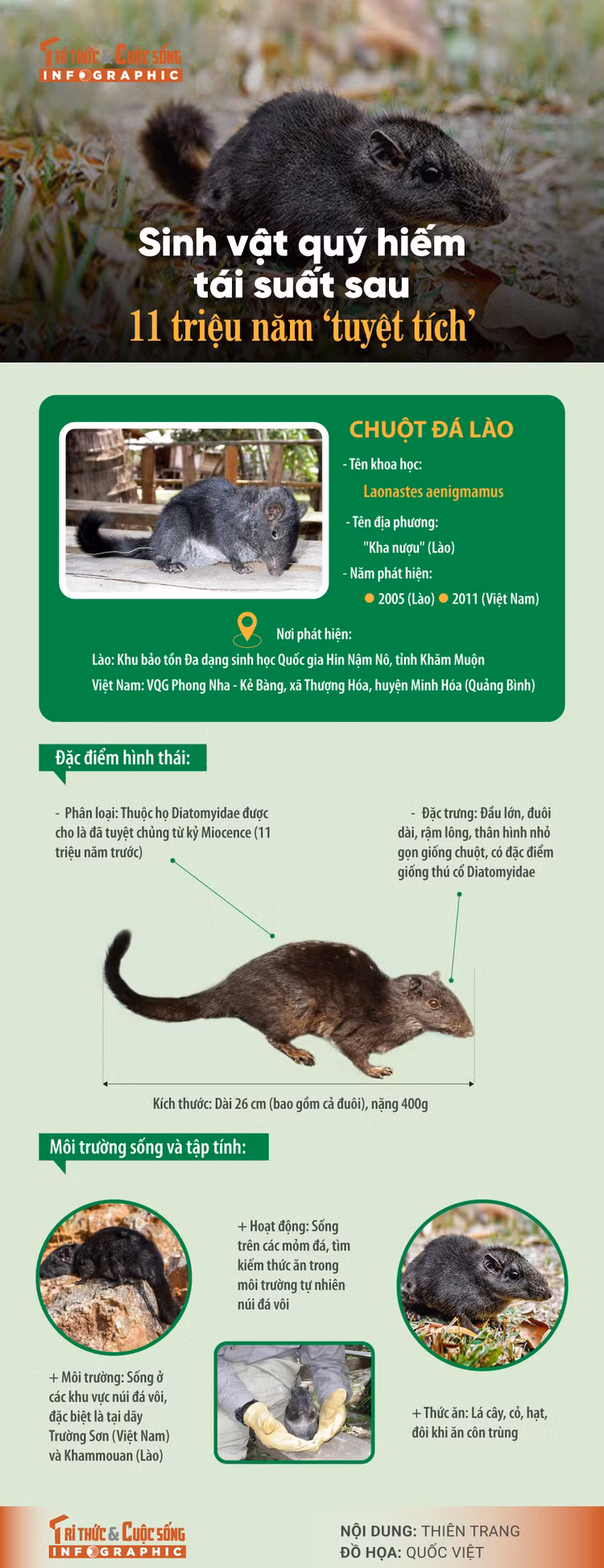 [INFOGRAPHIC] Sinh vat quy hiem tai suat sau 11 trieu nam ‘tuyet tich’