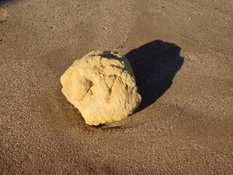 Vo duoc 'bau vat' khi dao bien, ngu dan chop mat doi doi-Hinh-5