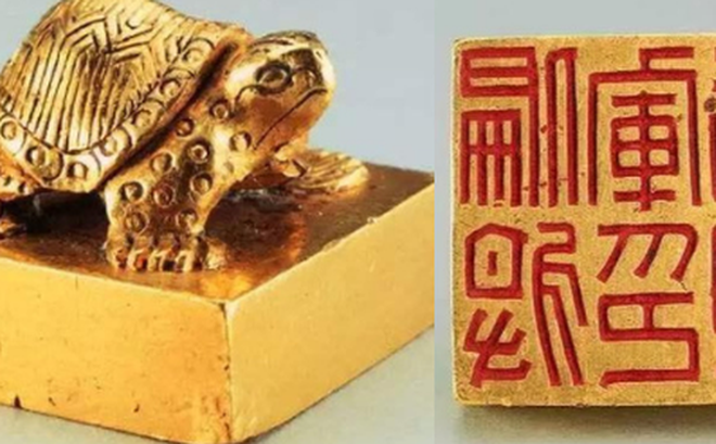 Ngư dân đụng trúng rùa vàng nhỏ ngất lịm khi biết giá trị thật - Hình 8 Ngu dan dung trung rua vang nho ngat lim khi biet gia tri that-Hinh-8