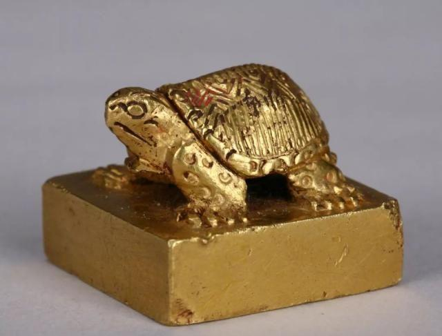 Ngư dân đụng trúng rùa vàng nhỏ ngất lịm khi biết giá trị thật - Hình 6 Ngu dan dung trung rua vang nho ngat lim khi biet gia tri that-Hinh-6