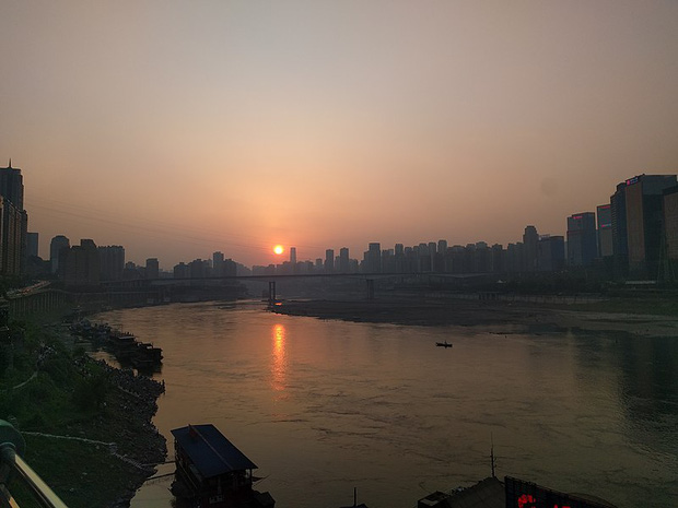 Ngư dân đụng trúng rùa vàng nhỏ ngất lịm khi biết giá trị thật Ngu dan dung trung rua vang nho ngat lim khi biet gia tri that