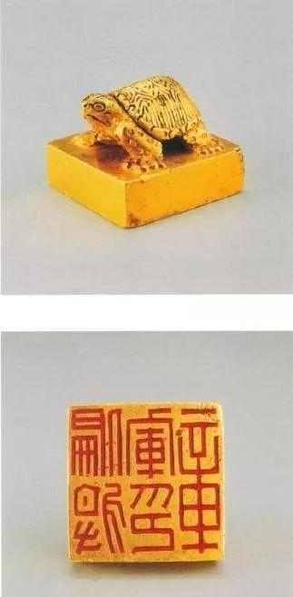 Ngư dân đụng trúng rùa vàng nhỏ ngất lịm khi biết giá trị thật - Hình 7 Ngu dan dung trung rua vang nho ngat lim khi biet gia tri that-Hinh-7