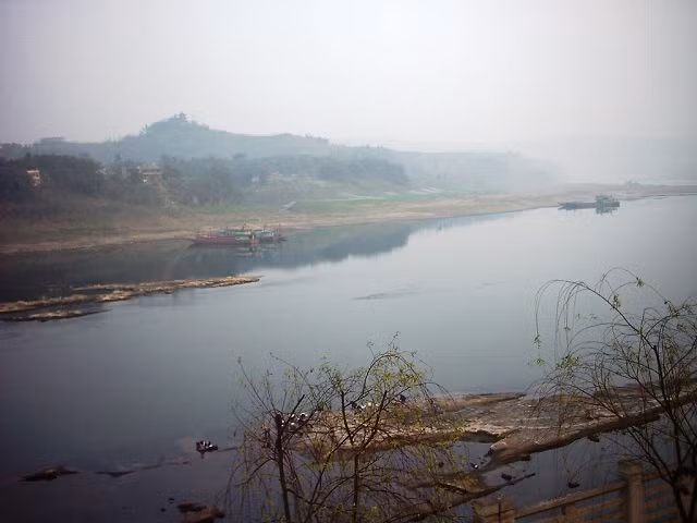 Ngu dan dung trung rua vang nho ngat lim khi biet gia tri that-Hinh-5