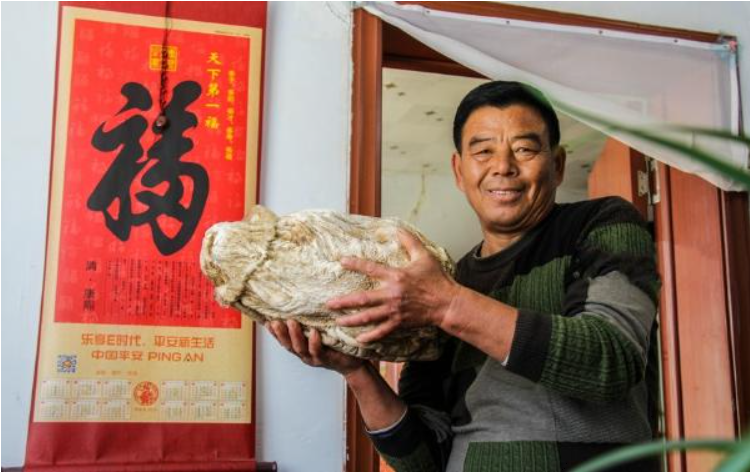 Sung sướng khi đào được tảng đá lạ giá trị gần 10.000 tỷ - Hình 4 Sung suong khi dao duoc tang da la gia tri gan 10.000 ty-Hinh-4