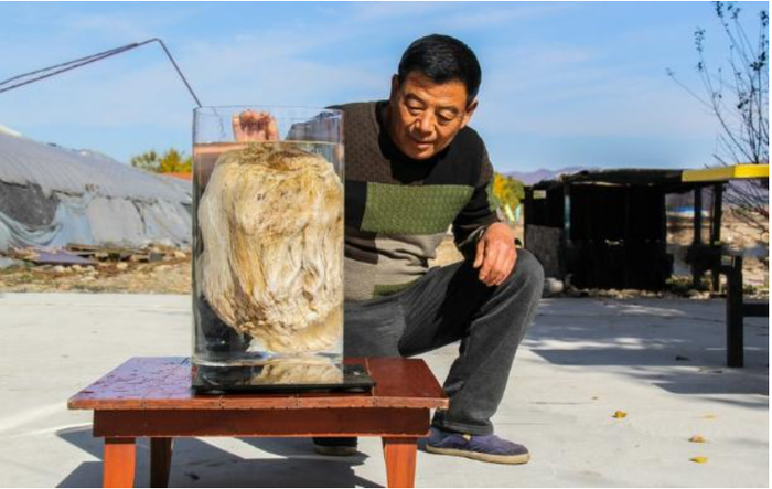 Sung sướng khi đào được tảng đá lạ giá trị gần 10.000 tỷ - Hình 5 Sung suong khi dao duoc tang da la gia tri gan 10.000 ty-Hinh-5