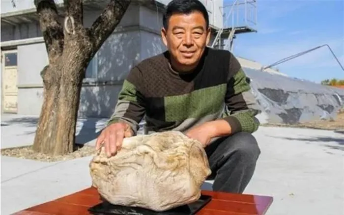 Sung sướng khi đào được tảng đá lạ giá trị gần 10.000 tỷ Sung suong khi dao duoc tang da la gia tri gan 10.000 ty