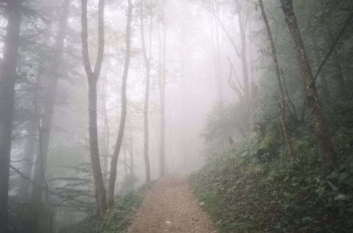 Lanh nguoi nhung vu mat tich bi an o Tam giac Bennington-Hinh-2