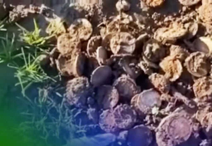 Dang cuoc dat, co gai vo tinh dung trung “kho bau” vo song-Hinh-7