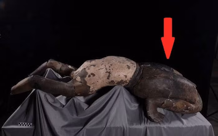 Bi an tuong di hinh trong mo Tan Thuy Hoang: Nam ngua, goi uon cong-Hinh-2