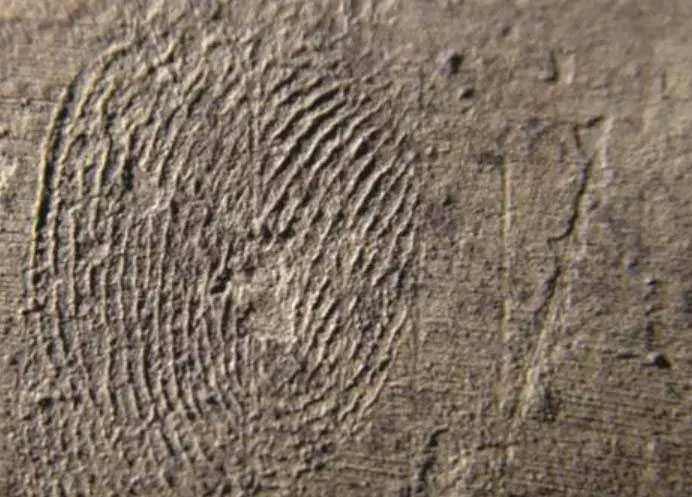 Bi an tuong di hinh trong mo Tan Thuy Hoang: Nam ngua, goi uon cong-Hinh-4