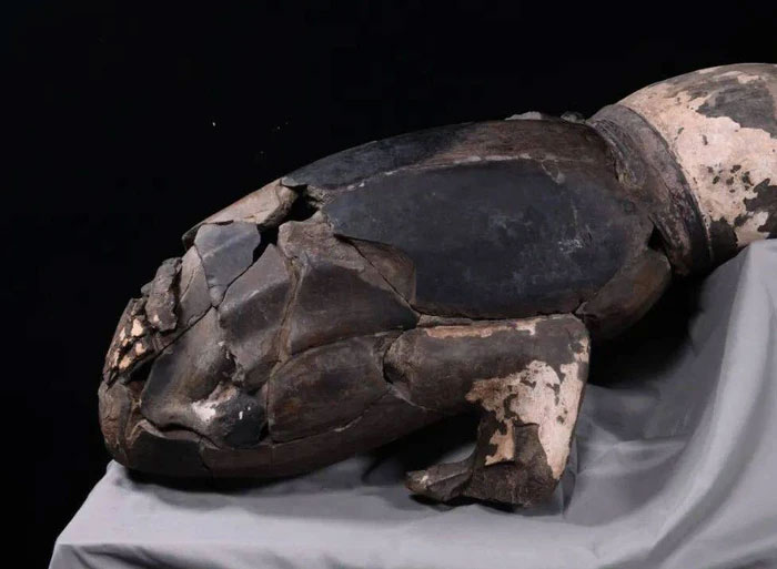 Bi an tuong di hinh trong mo Tan Thuy Hoang: Nam ngua, goi uon cong-Hinh-3