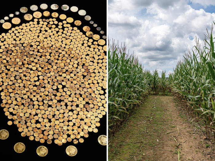 Ra ruong ngo, nong dan vo bam kho bau “khung” tu thoi Noi chien My-Hinh-3