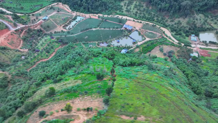 Lam Dong: Nguy co sat lo khi qua doi xuat hien vet nut lon