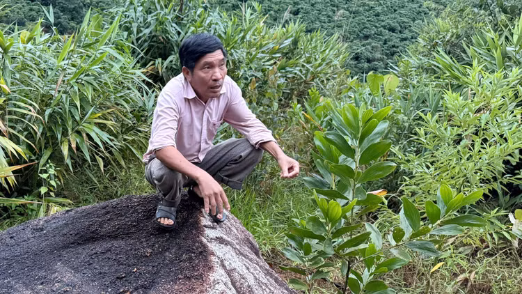 Lam Dong: Nguy co sat lo khi qua doi xuat hien vet nut lon-Hinh-3