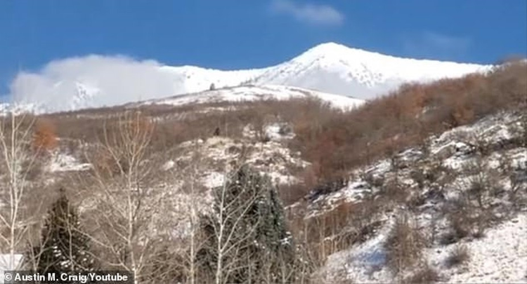 Lo hinh anh chan thuc nhat ve Bigfoot: Quai vat hoan toan co that?-Hinh-6