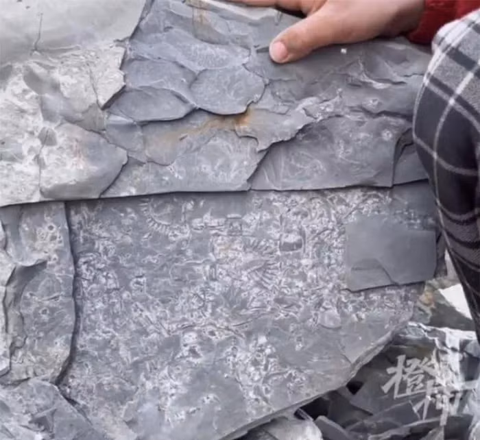 Choi tim kho bau, ai ngo dung trung “bau vat Troi cho” 500 trieu nam-Hinh-2