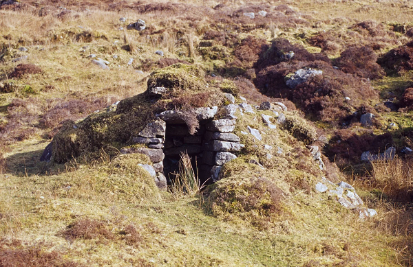 Giai ma nhung nam mo co xong hoi ky quai nhat hanh tinh-Hinh-10