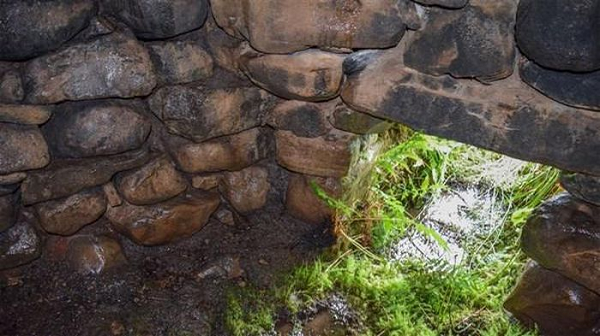 Giai ma nhung nam mo co xong hoi ky quai nhat hanh tinh-Hinh-4