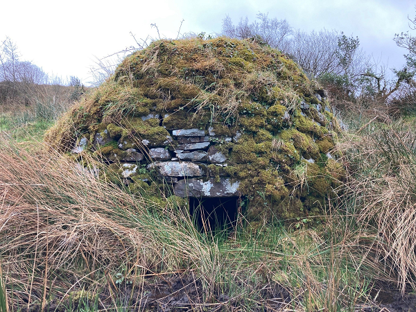 Giai ma nhung nam mo co xong hoi ky quai nhat hanh tinh-Hinh-7