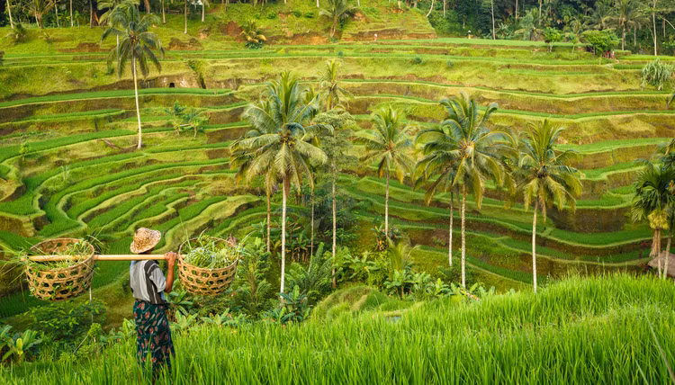 Cat Ba – Khi mot bo phim co the doi doi mot diem den