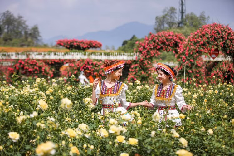 Du lich Fansipan mua hoa do quyen va le hoi hoa hong-Hinh-4